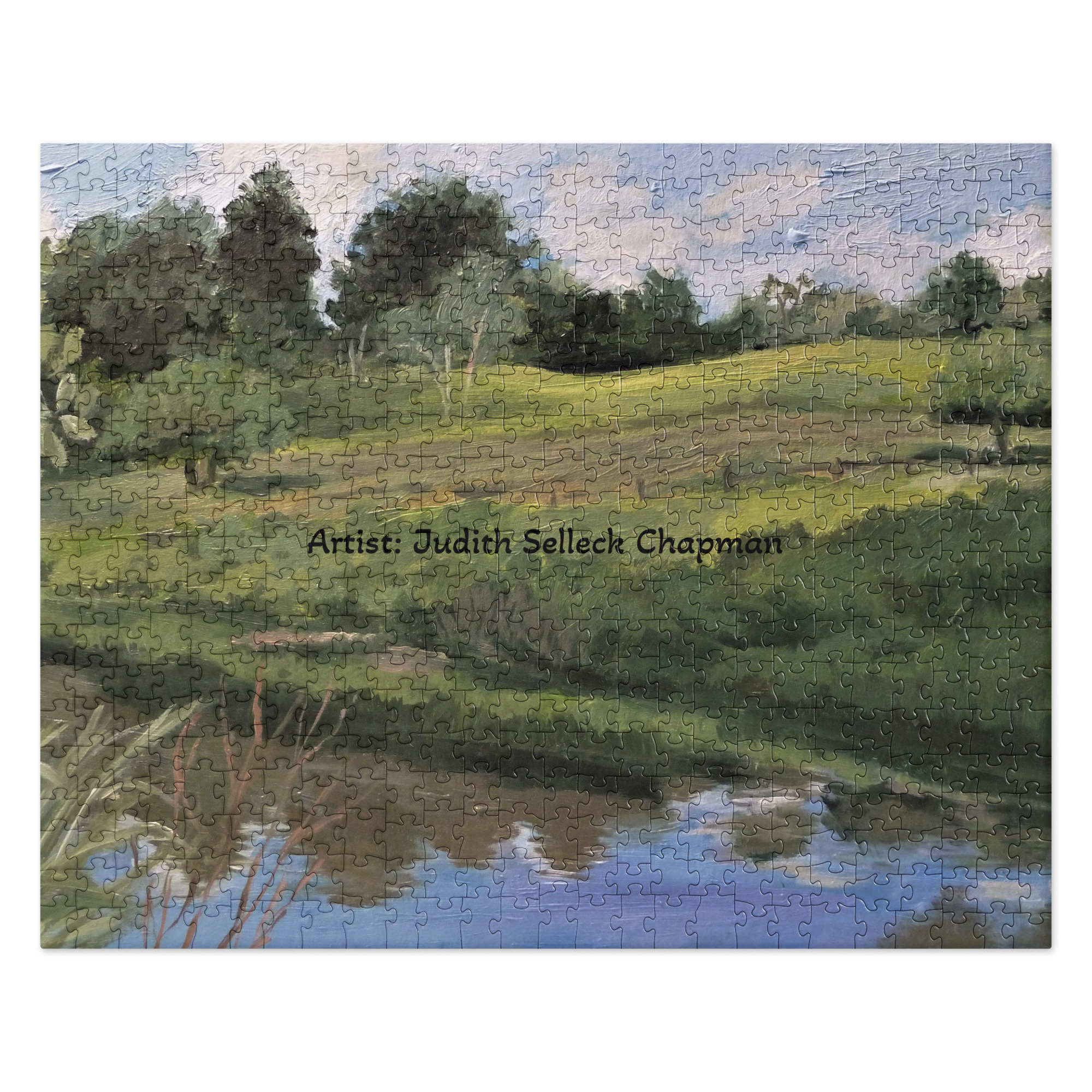 jigsaw puzzle 520 pieces front 68b9b2f3193cc